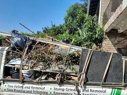 Best Furniture Removal  in Mountain Village, CO